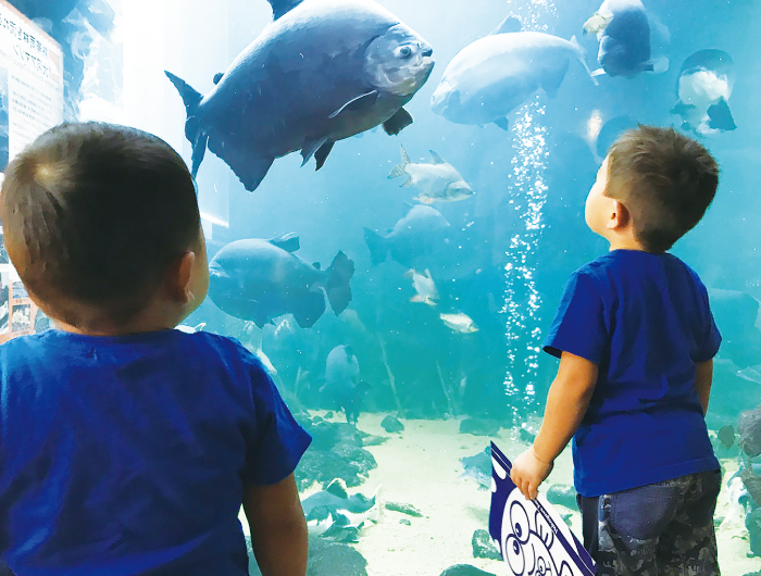 栃木県なかがわ水遊園 ママトコドモト