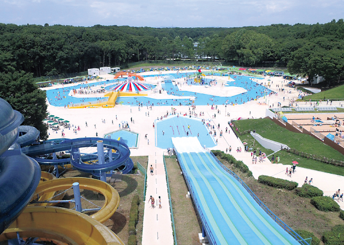 井頭公園 一万人プール ママトコドモト